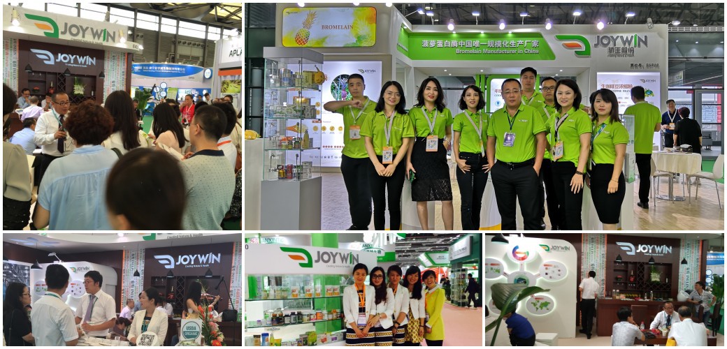 JOYWIN Exhibition Show JOYWIN Exhibition Show