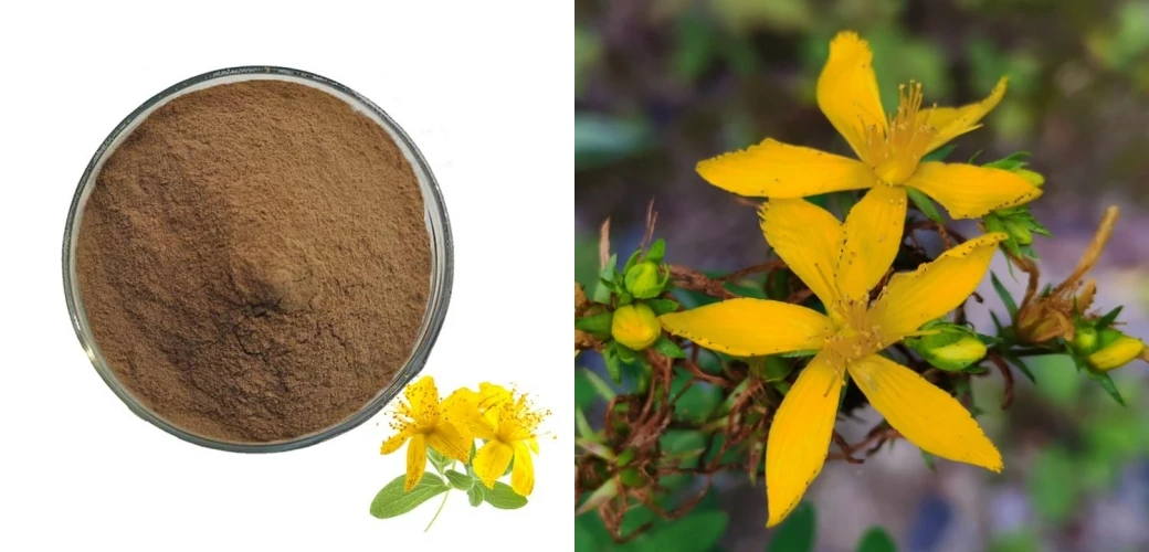 product-1040-500 St. John's Wort Extract 4