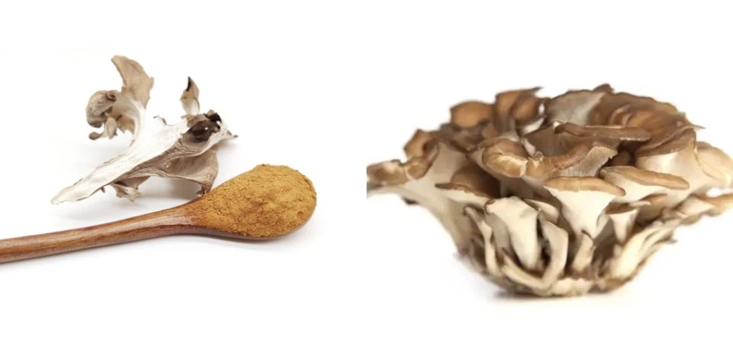 Maitake Mushrooms Extract 2