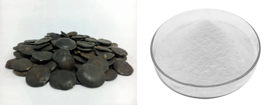 Griffonia Seed Extract Powder
