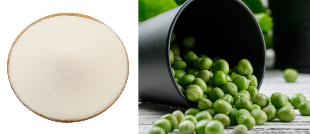 Pure pea protein isolate Pure pea protein isolate