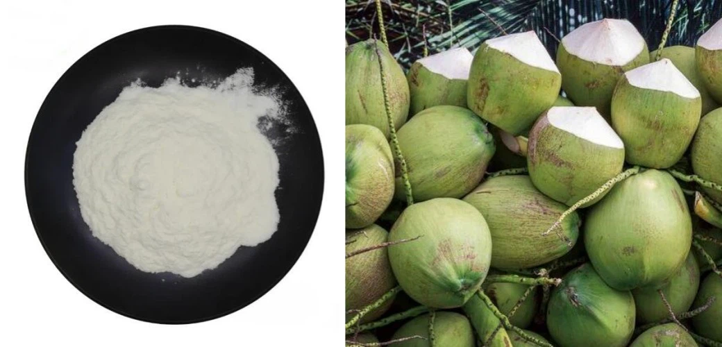 Coconut MCT Powder Coconut MCT Powder