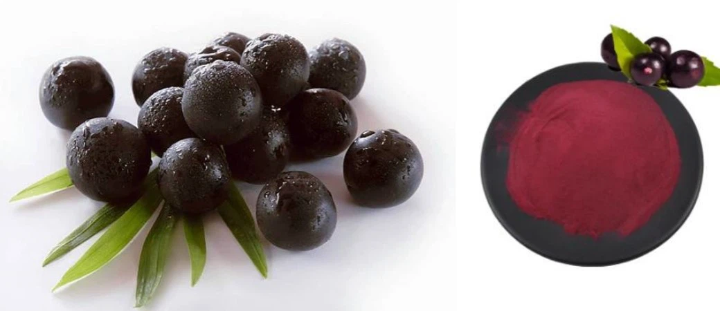 Acai Juice Powder Acai Juice Powder