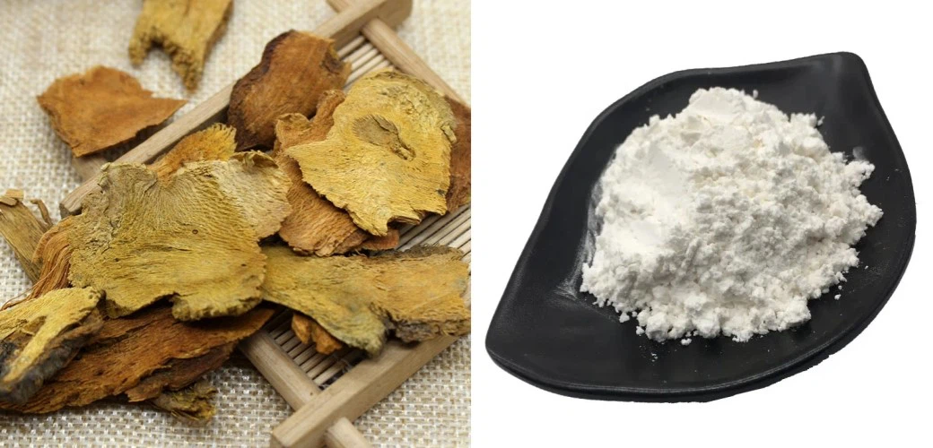 resveratrol powder resveratrol powder