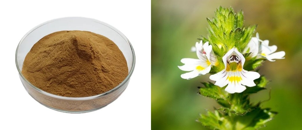 Eyebright powder Eyebright powder