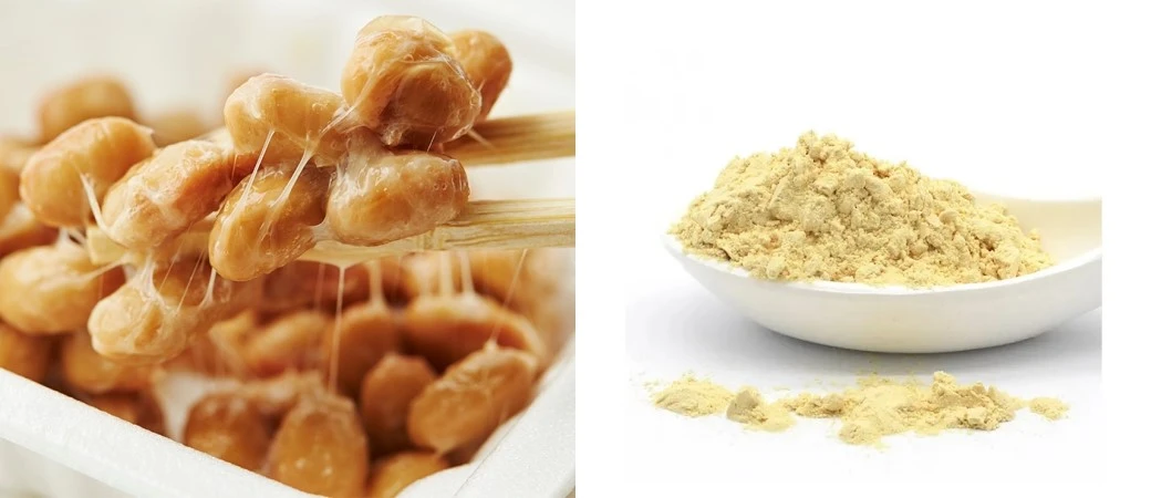 Natto extract Natto extract