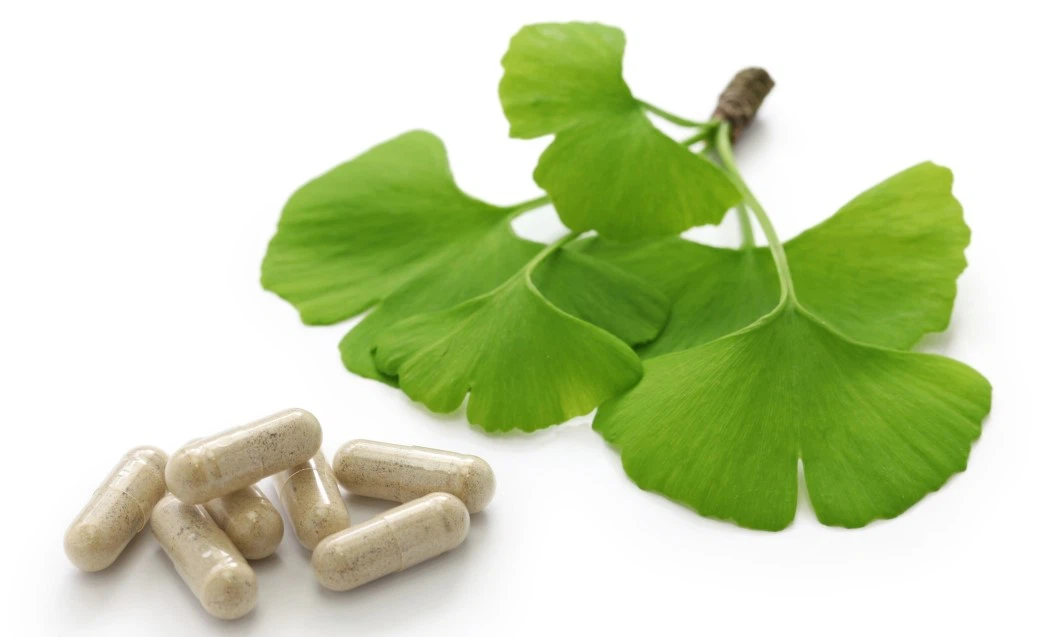 Ginkgo biloba extract powder Ginkgo biloba extract powder