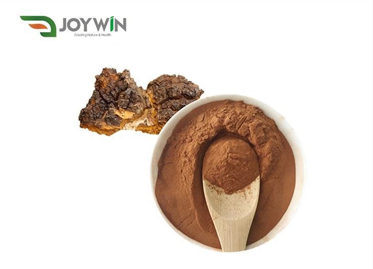 Ginkgo Biloba Extract of USP Standard, Ep Standard