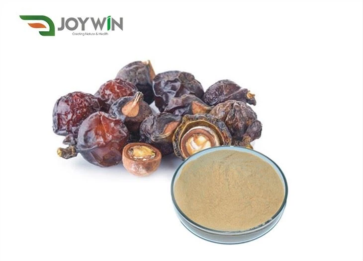 Chinese Soapberry Seed Extract