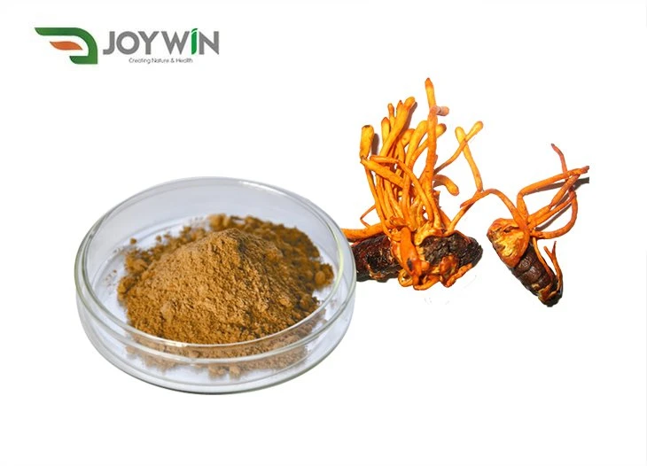 Cordycepin Powder