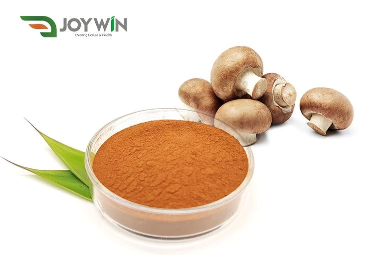 Can Shiitake Mushroom Extract be Used in Cosmetics?