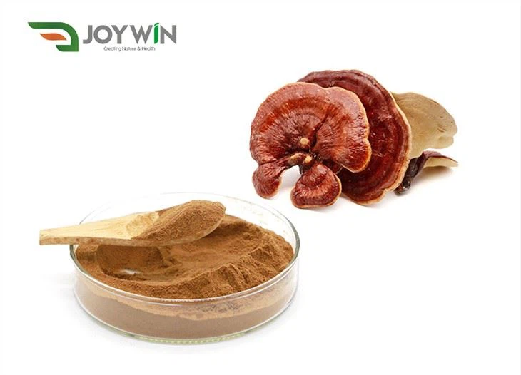 Reishi Mushroom Extract Powder