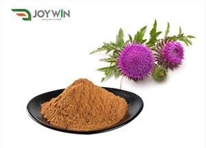 Chinese Milk Thistle Extract Powder 80% Silymarin