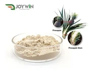 Bromelain Enzyme Powder