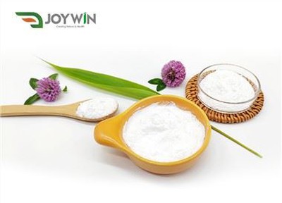 Oligofructose Powder