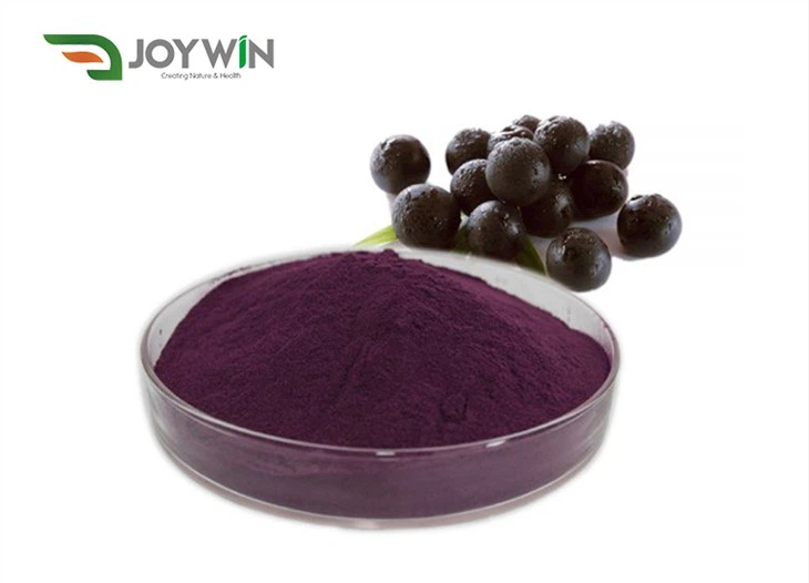 Acai Juice Powder