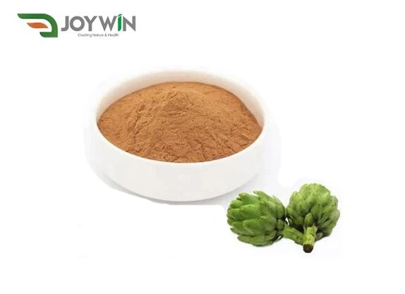 Artichoke Powder Organic