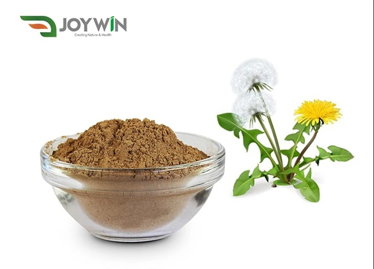 Dandelion Extract Powder