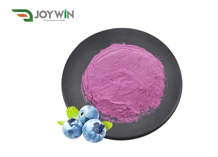 Freeze Dried Blueberry Powder
