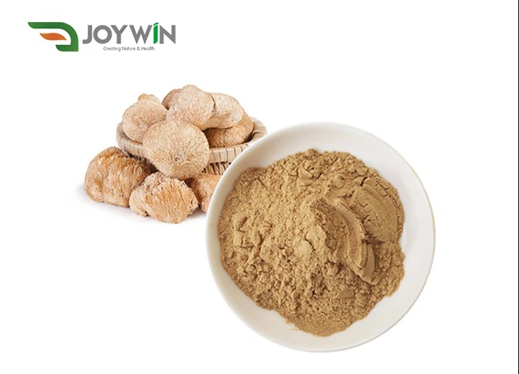 Lion's Mane Mushroom Powder