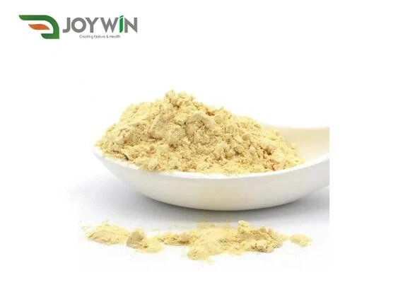 Nattokinase Enzyme
