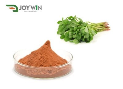 Purslane Extract