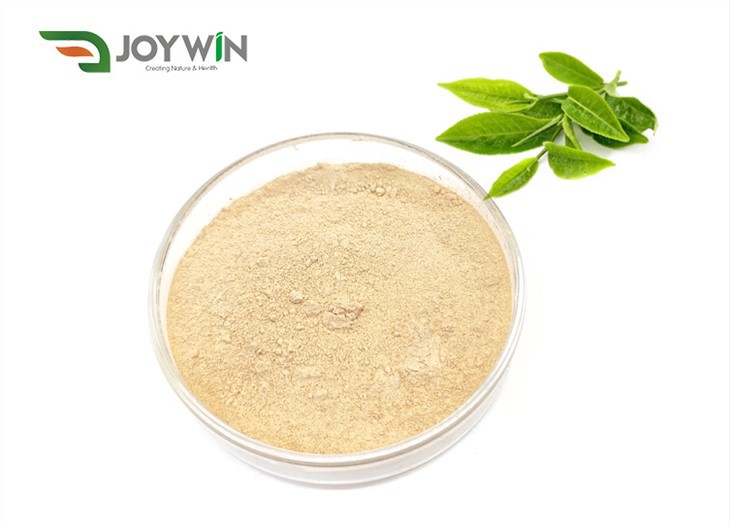 Theanine Powder