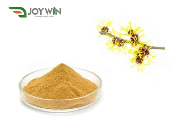 Witch Hazel Extract Powder