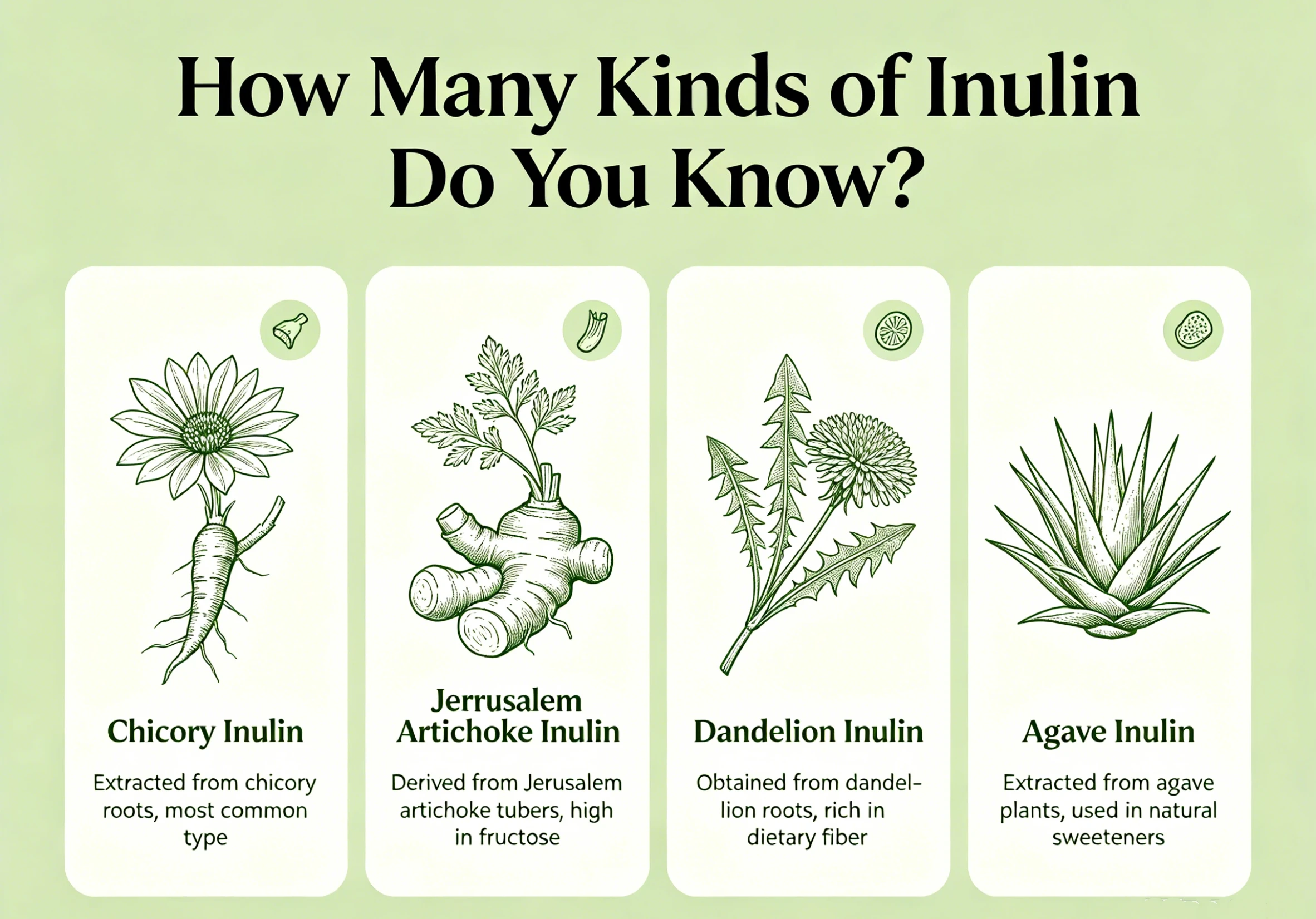 How many kinds of inulin do you know?