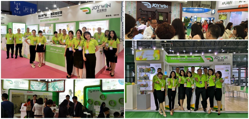 JOYWIN Exhibition Show JOYWIN Exhibition Show