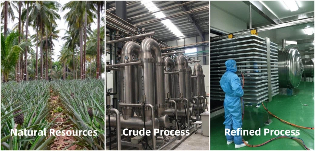 JOYWIN Manufacturing Facilities JOYWIN Manufacturing Facilities